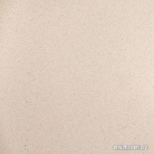 Кухонная мойка Wisent 480-30WR (с сифоном GER013)