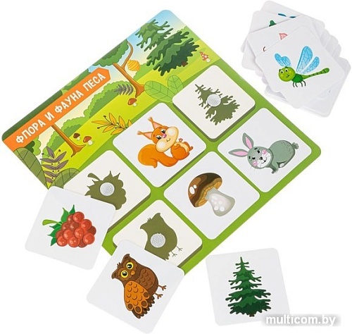 Развивающая игра Bondibon Теневое лото. Флора и фауна ВВ4984