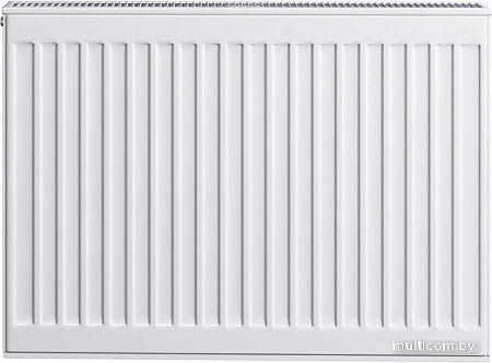 Стальной панельный радиатор Brugman Tип 22 300x100x600 FEK220300601UBY (боковое подключение)