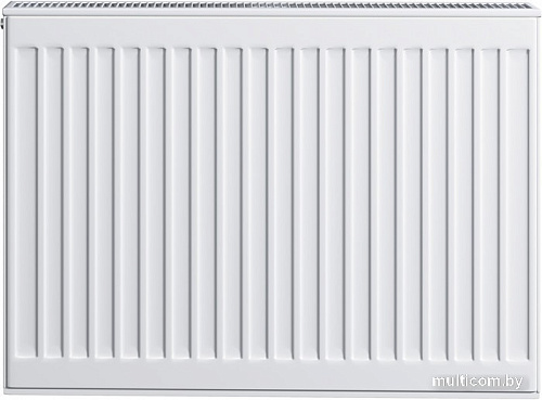 Стальной панельный радиатор Brugman Tип 22 300x100x600 FEK220300601UBY (боковое подключение)