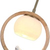 Подвесная люстра Arte Lamp Caprice A4182SP-1BR