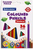 Набор цветных карандашей BRAUBERG Premium 181654 (36 шт.)