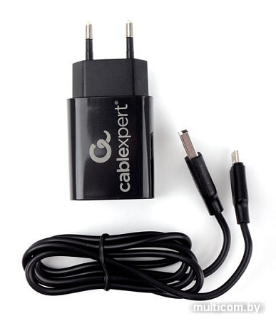 Сетевое зарядное Cablexpert MP3A-PC-36