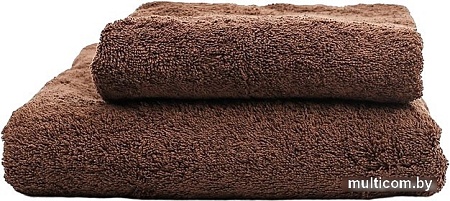 Набор полотенец Sofi De MarkO Nicole 50х90 70х140 Пол-Нк-кф-КТ (кофейный)