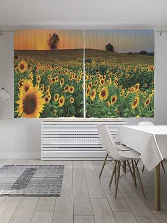 Комплект штор JoyArty Край подсолнухов 1.45x1.8 м pox_8250_145x180 (2 шт)