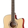 Акустическая гитара Foix FFG-2041C-NA