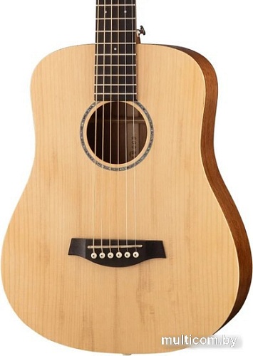 Акустическая гитара Parkwood S-Mini ADN