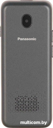Мобильный телефон Panasonic KX-TF200RU (серый)