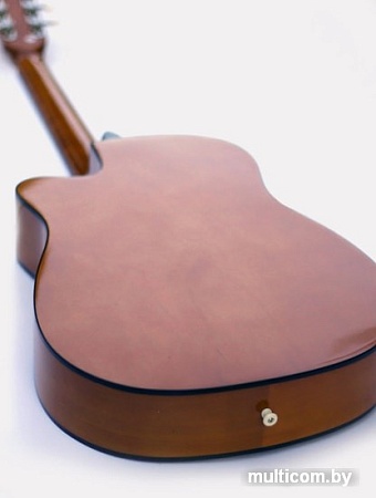 Акустическая гитара Homage LF-3800CT-N