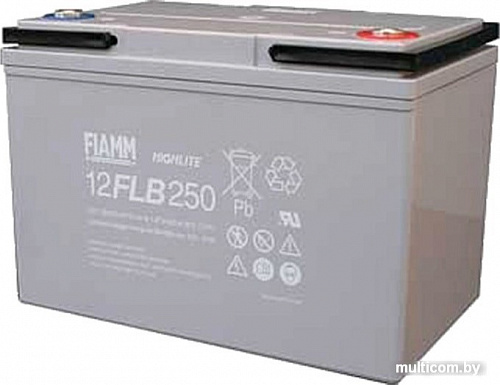 Аккумулятор для ИБП FIAMM 12FLB250P (12В/70 А&middot;ч)