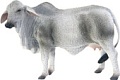 Collecta Корова Брахмана 88580b