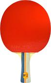 Ракетка для настольного тенниса Double Fish 1A-С (1 звезда)