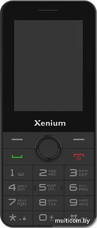Кнопочный телефон Xenium X240 (черный)