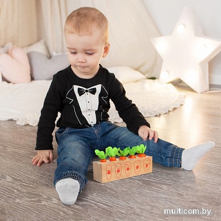 Набор развивающих игрушек Sima-Land Посади разные морковки 5492095