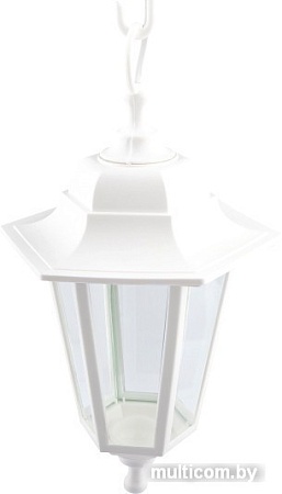 Уличный подвесной светильник ЭРА НСУ 06-60-001 Б0048110