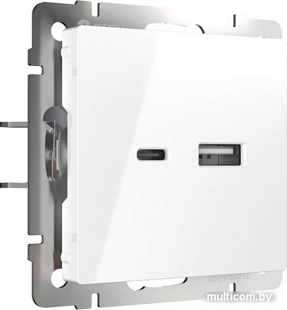 Розетка USB Werkel W1171801