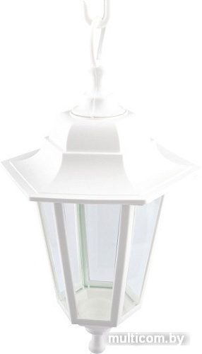 Уличный подвесной светильник ЭРА НСУ 06-60-001 Б0048110