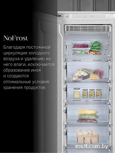 Морозильник Ascoli ASF230WBI