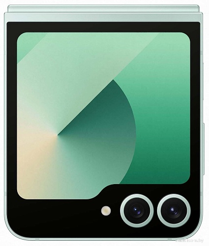 Телефон Samsung Galaxy Z Flip6 SM-F7410 12GB/256GB (мятный)