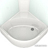 Душевая кабина Domani-Spa Delight 88 High 80x80 (тонированное стекло/черный)