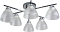 Люстра средней высоты Mirastyle BL-7766/6 CR+BK