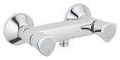 Двухрычажный смеситель Grohe Costa S 26317