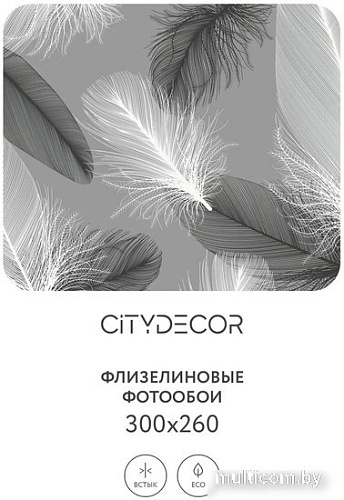 Фотообои Citydecor Абстракция 390 300x260