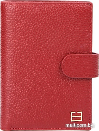 Обложка на документы Fabretti Q09D-51