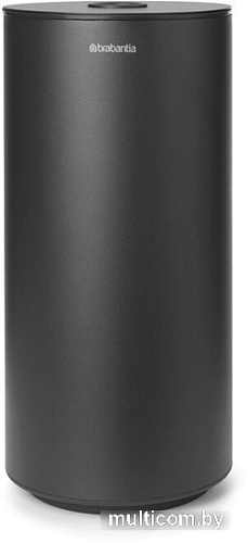 Держатель для туалетной бумаги Brabantia MindSet 303166