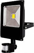 Прожектор Glanzen FAD-0013-50 6000K