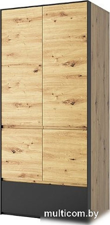 Шкаф распашной Anrex Bosco 2DG1S (дуб артисан/черный)