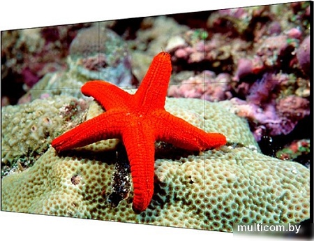 Информационная панель Hikvision DS-D6055UN