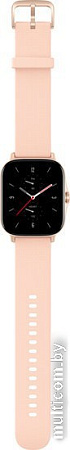 Умные часы Amazfit GTS 2 New Version (золотистый)