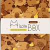 Подарочный набор Milota Box Capybara Box Mini MBS031