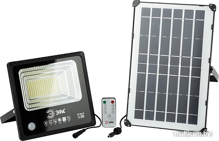 Уличный прожектор ЭРА ERAPRO-100