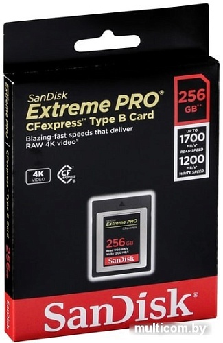 Карта памяти SanDisk Extreme Pro CFexpress Type B SDCFE-256G-GN4NN 256GB