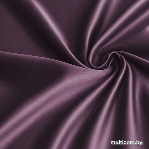 Комплект штор и гардин Pasionaria Блэкаут 340x230 (3 шт, фиолетовый)