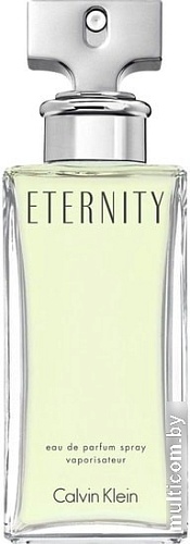 Парфюмерная вода Calvin Klein Eternity EdP (100 мл)