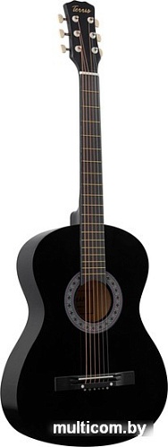Акустическая гитара Terris TF-3805A BK