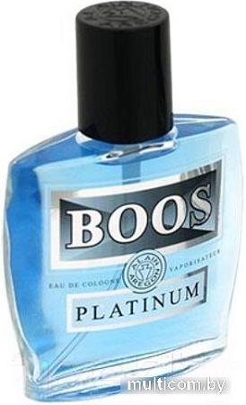 Одеколон Positive Boos Platinum EdC (60 мл)