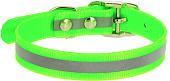 Ошейник Каскад 00212352-05 (зеленый)