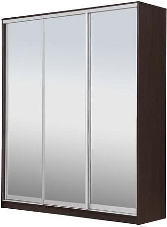 Шкаф-купе Рэйгрупп 176450 VVX Elgon РГ-09.04 (венге/хром)