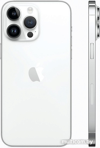 Смартфон Apple iPhone 14 Pro Max 256GB (серебристый)