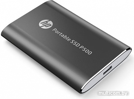 Внешний накопитель HP P500 120GB 6FR73AA (черный)