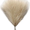 Искусственный букет Sundays Home Камыши 6405000801A (15 шт, бежевый)