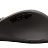 Мышь Rapoo MT550