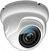 IP-камера Ginzzu HID-5302A