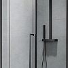 Душевой уголок Aquanet Ideal 120x90мм AE-AXC92MB-S-B (прозрачный/черный матовый)