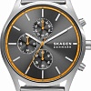 Наручные часы Skagen SKW6926