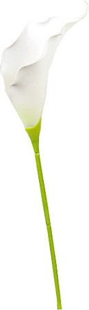 Искусственный цветок Forgarden Калла BN10768 (белый)